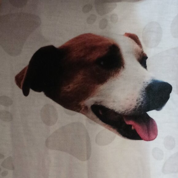 NWOT ~ Women's Dog Faces & Paw Print Lounge Pants/Pajama Bottoms (Size: Large) - Picture 7 of 9